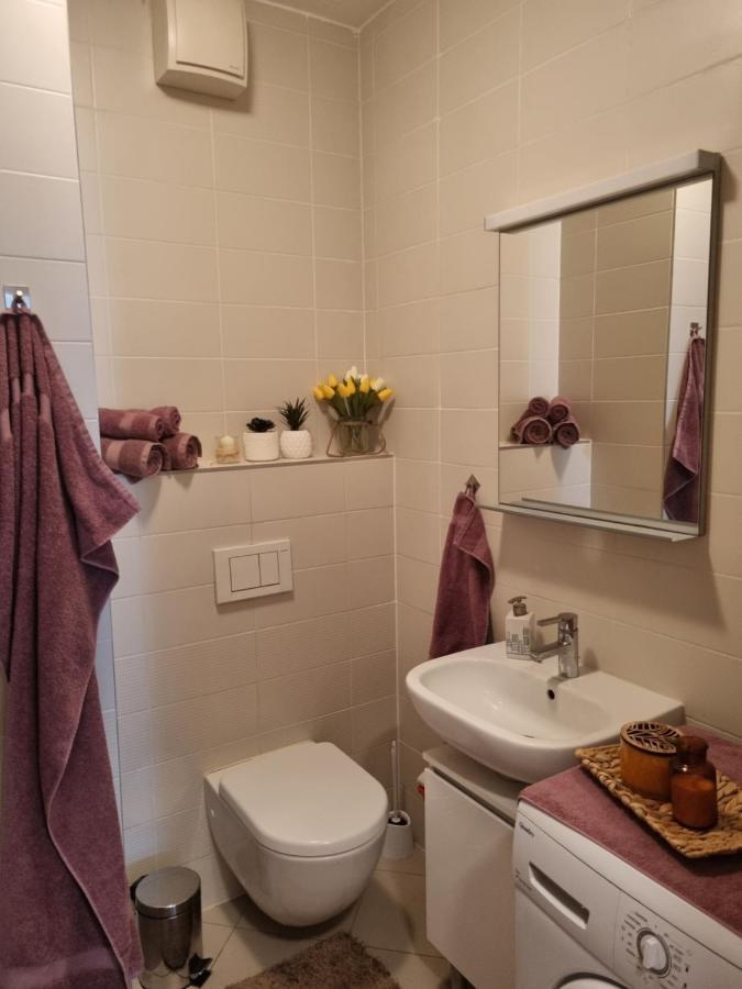 Apartman Joy Διαμέρισμα Ζάγκρεμπ Εξωτερικό φωτογραφία